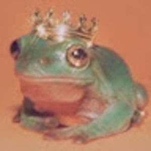 Meet your Posher, Jay